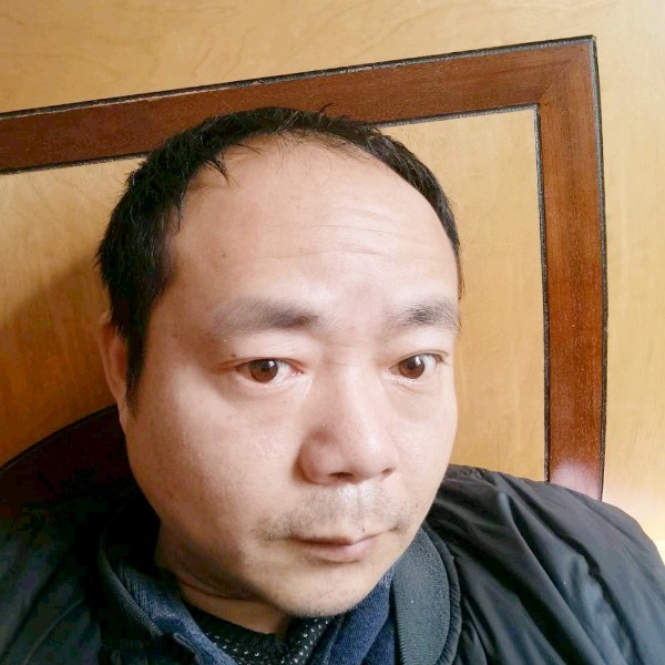 大树深拥舒服的照片