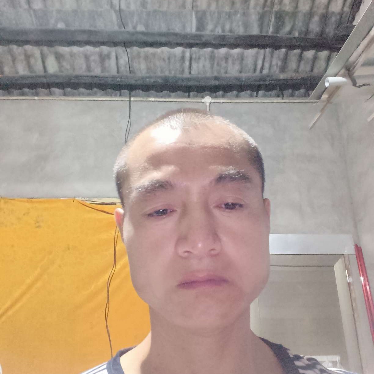 浮光蹁跹華麗的照片