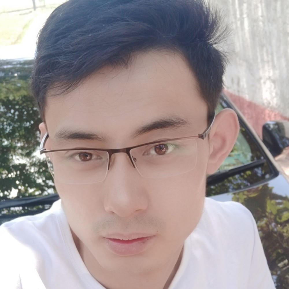 灰狼俏皮的照片