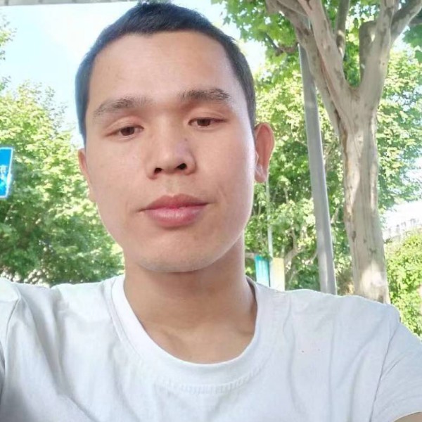 温暖深拥树叶的照片