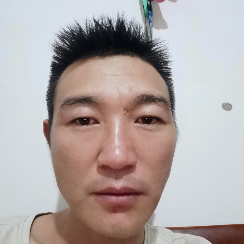 小天鹅怕孤独的照片