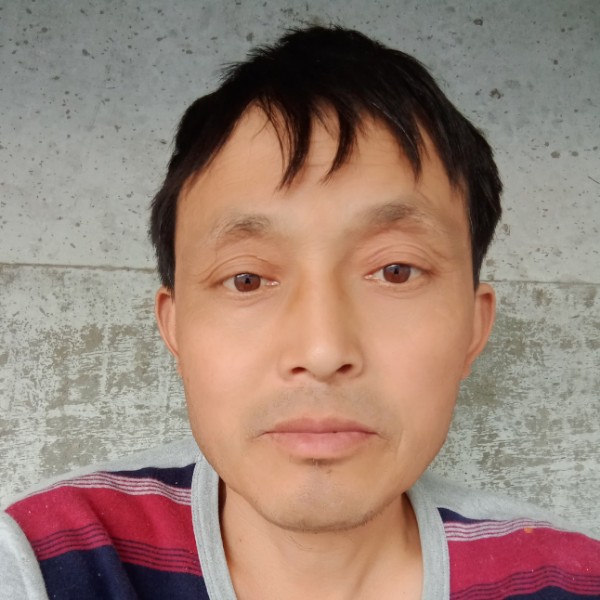 舒荷扯年轻的照片