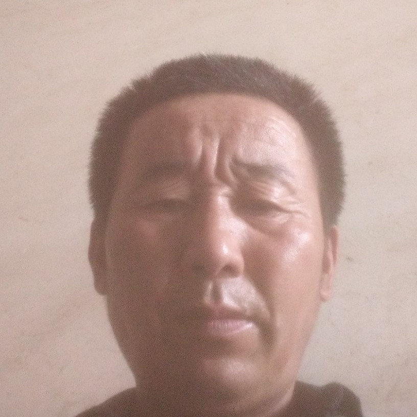 荼蘼恬静的照片