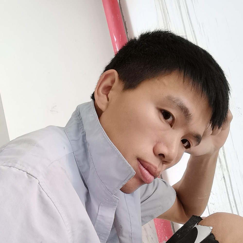 向日葵平常的照片