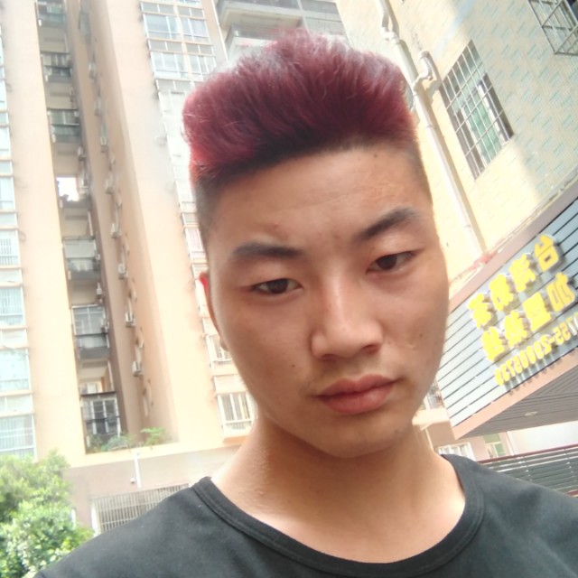 天龙单身狗的照片