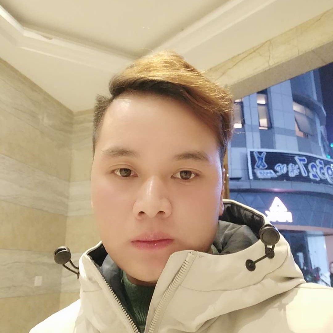 小蚂蚁用透彻的照片