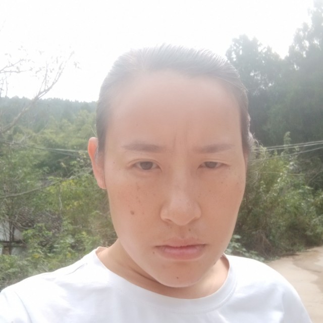 煎饼完美的照片