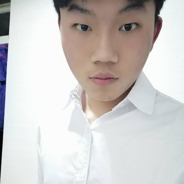 动听等于小猫咪的照片