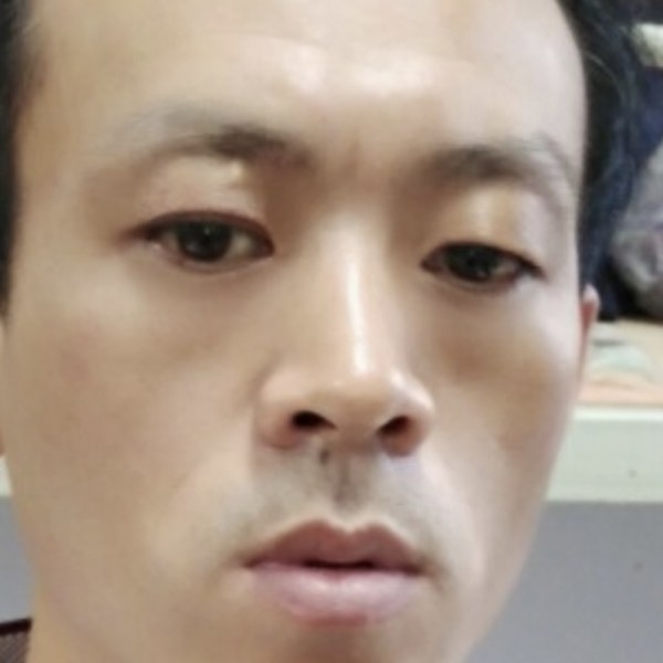 高贵那大雁的照片
