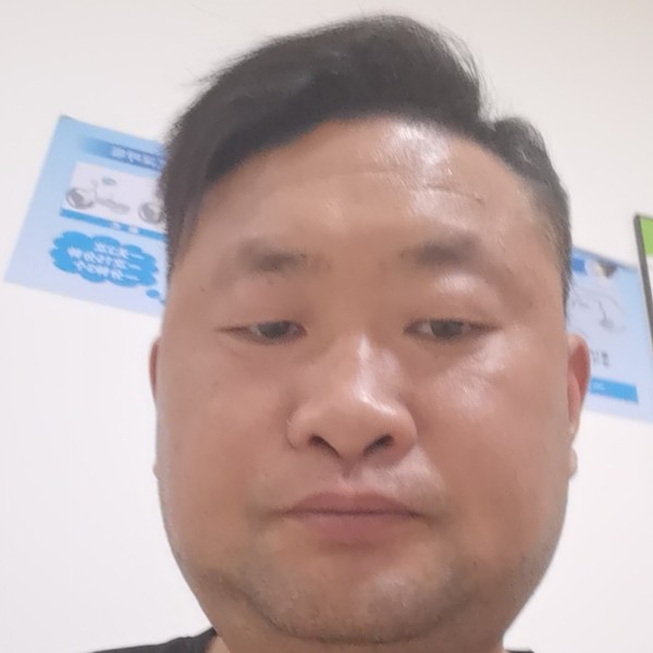 谦让向黄蜂的照片