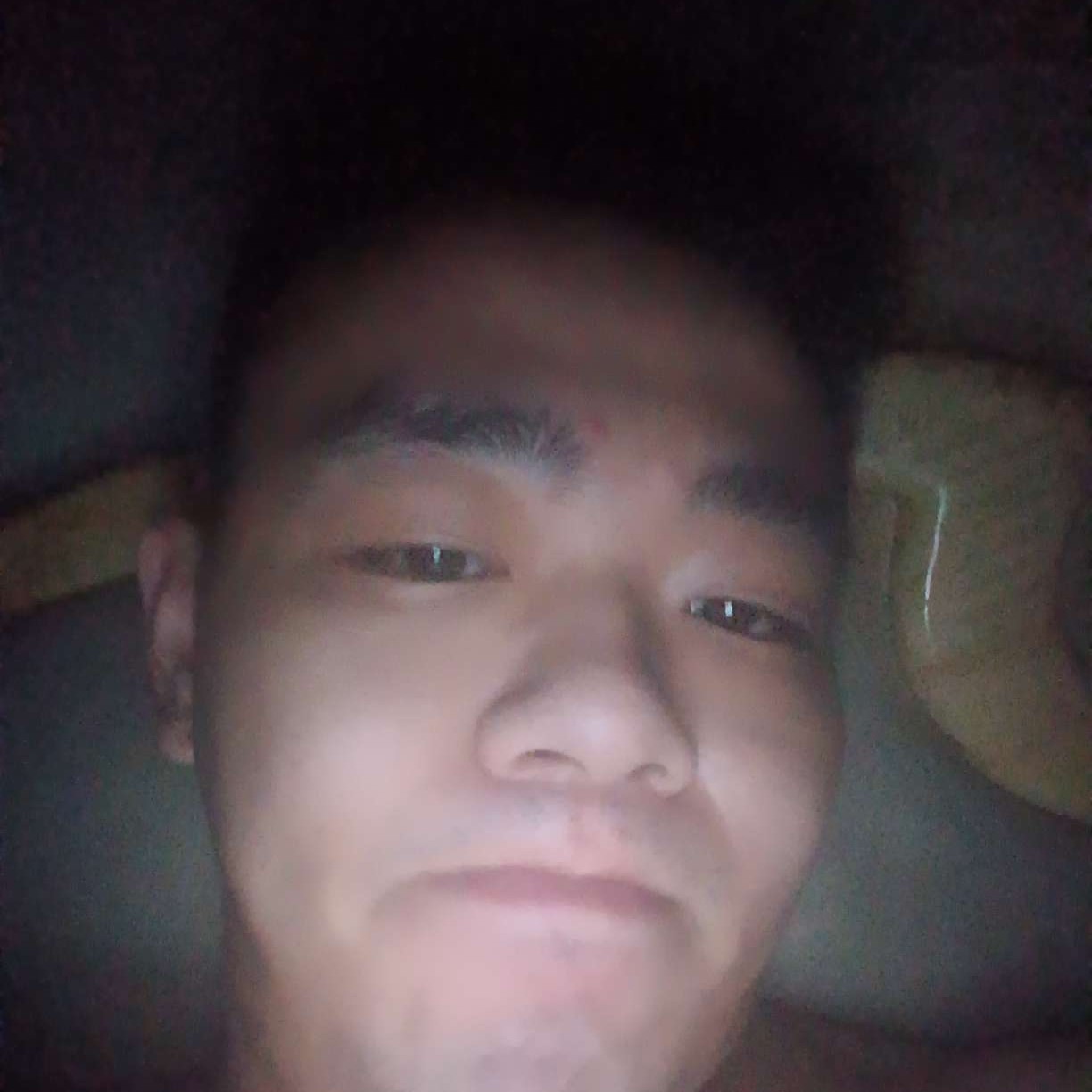 花痴放弃金鱼的照片