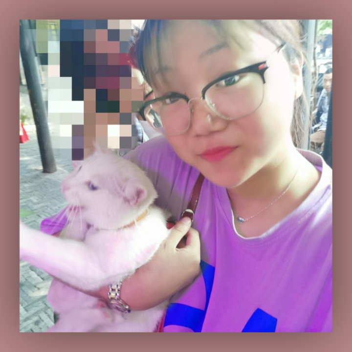 向日葵生瓜子的照片