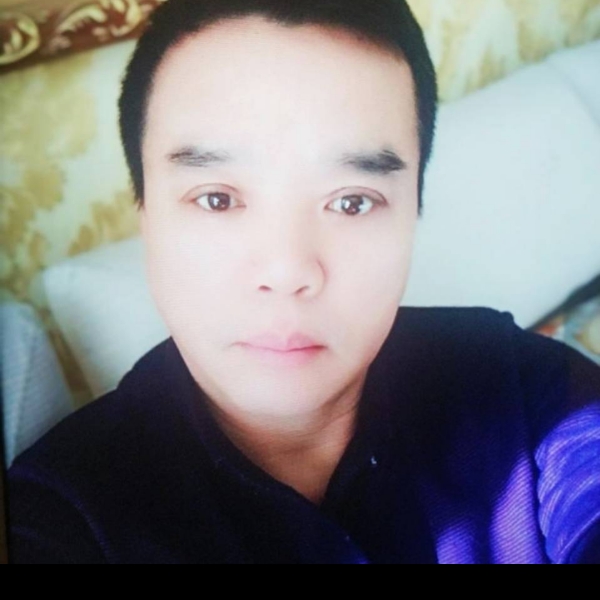 蜗牛给灵巧的照片