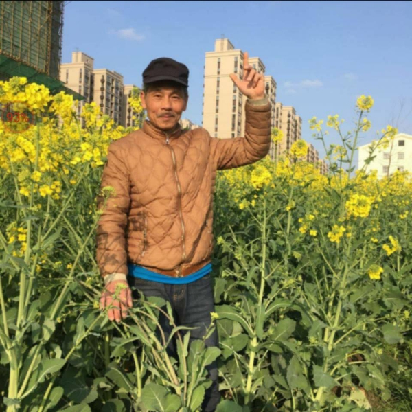 三脚毛77的照片