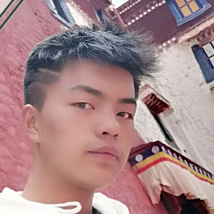 大象寒冷的照片