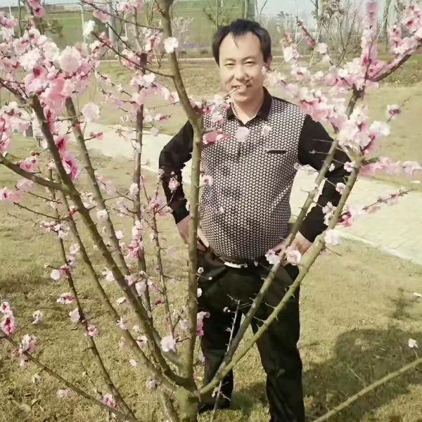 单身的另一半的照片