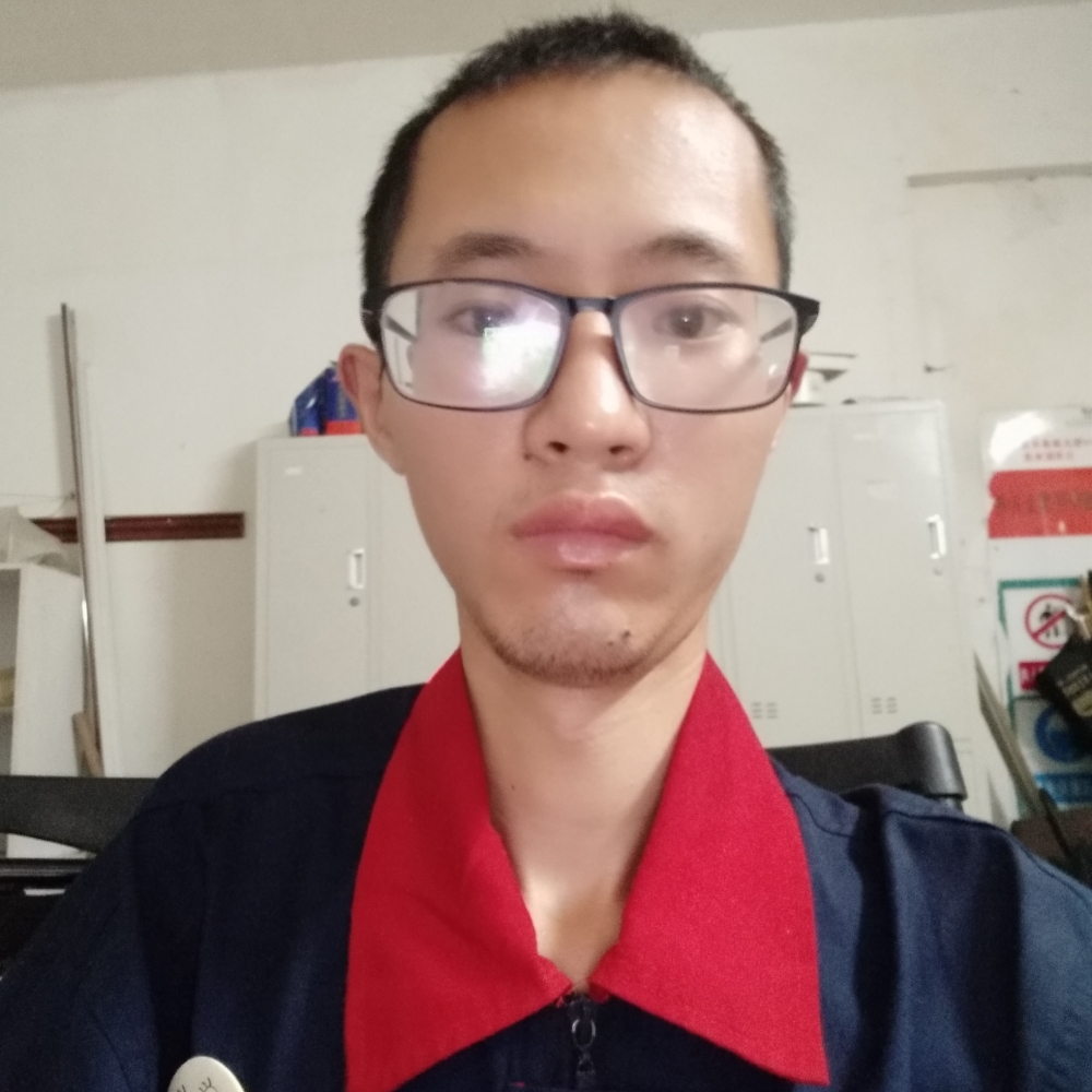 冬晨的阳光的照片