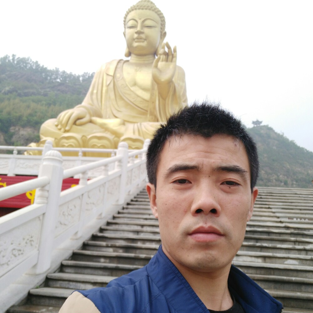 欣慰惊鸿的照片