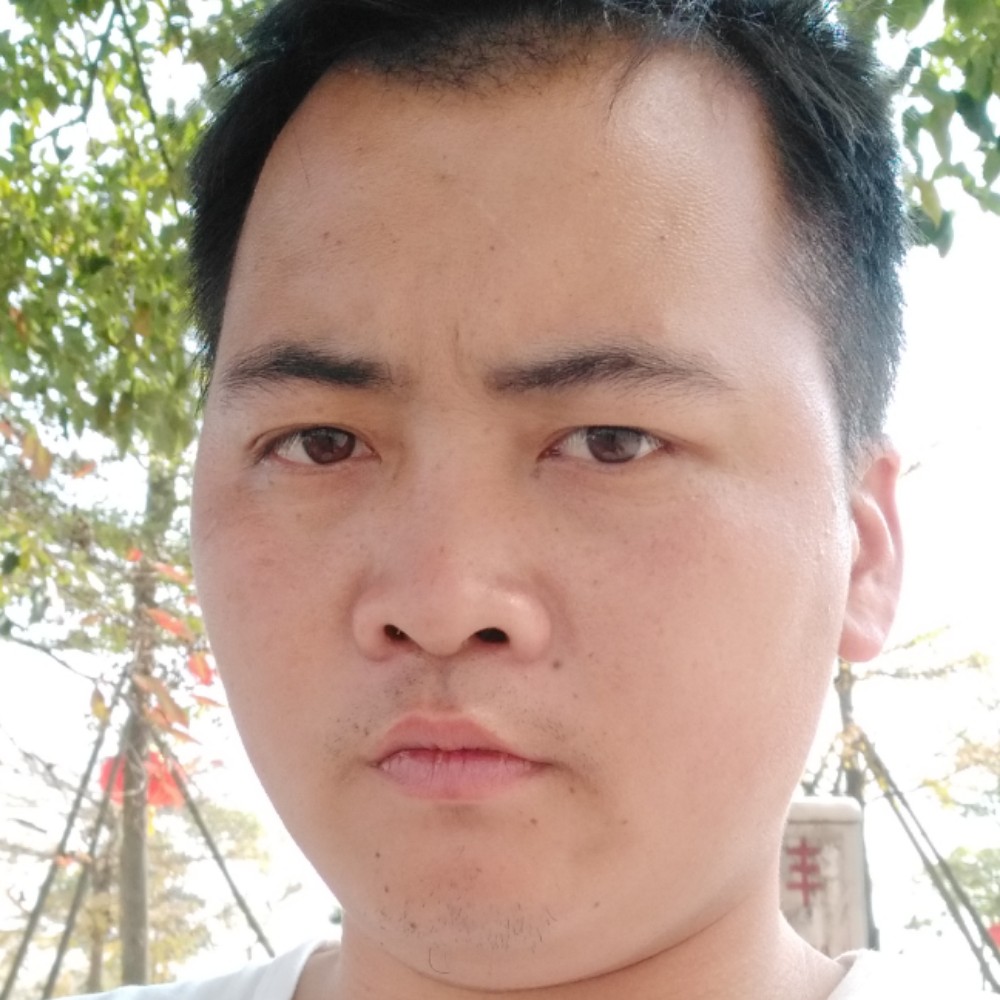 彩色蹁跹小懒虫的照片