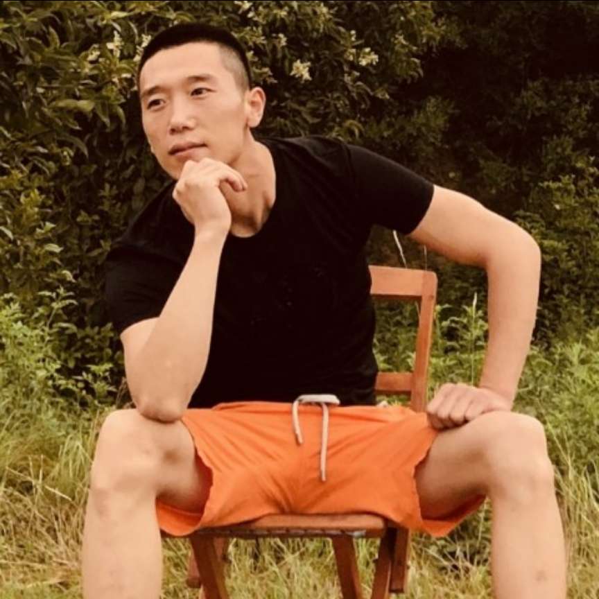 长颈鹿简单的照片