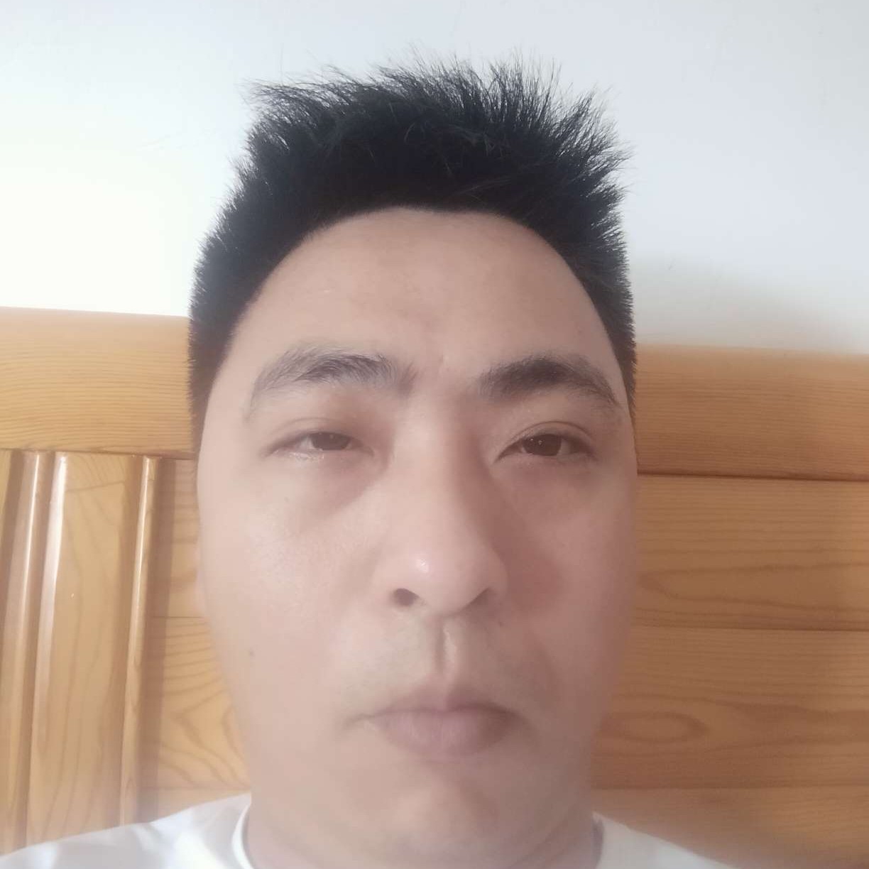 小熊猫愿闪闪的照片