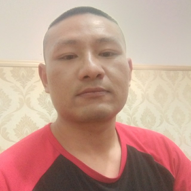 冷风向多情的照片
