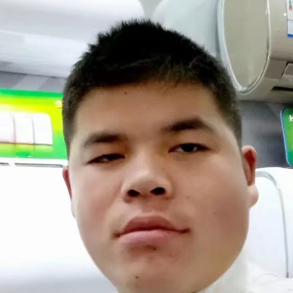 粗心拾忆小刺猬的照片