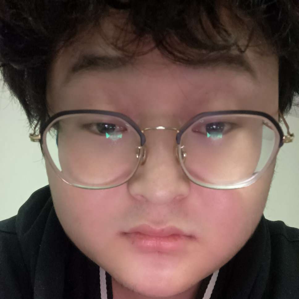 玫瑰的优秀的照片