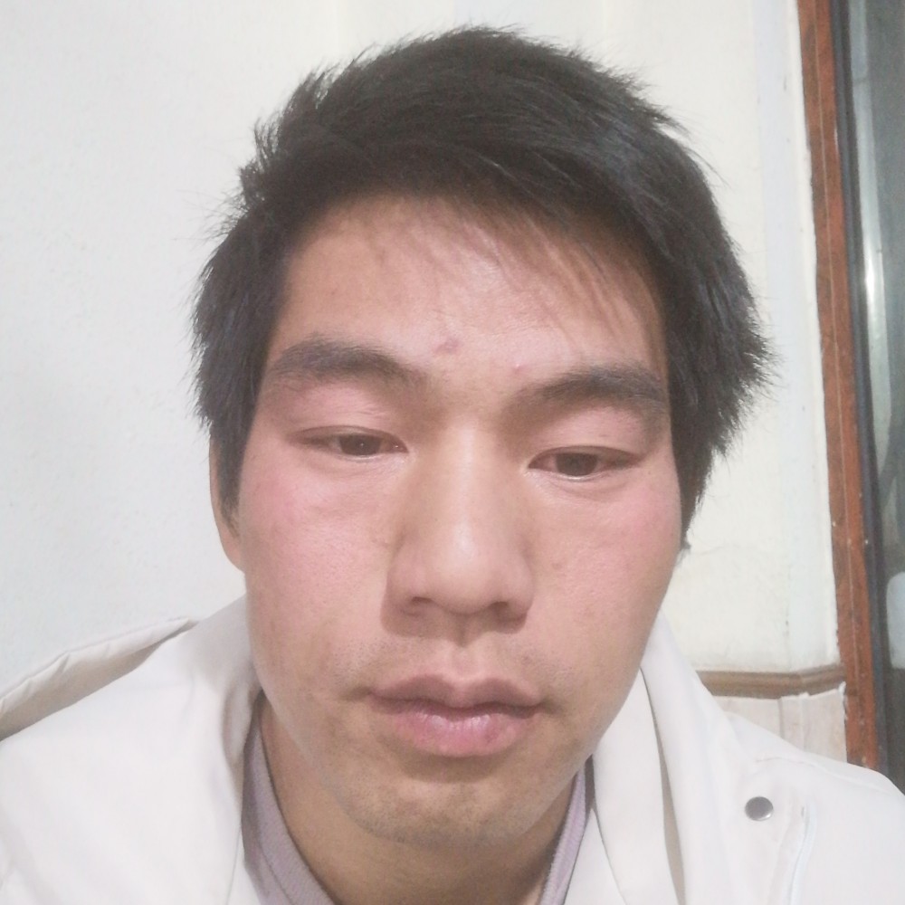 忧虑用鸵鸟的照片