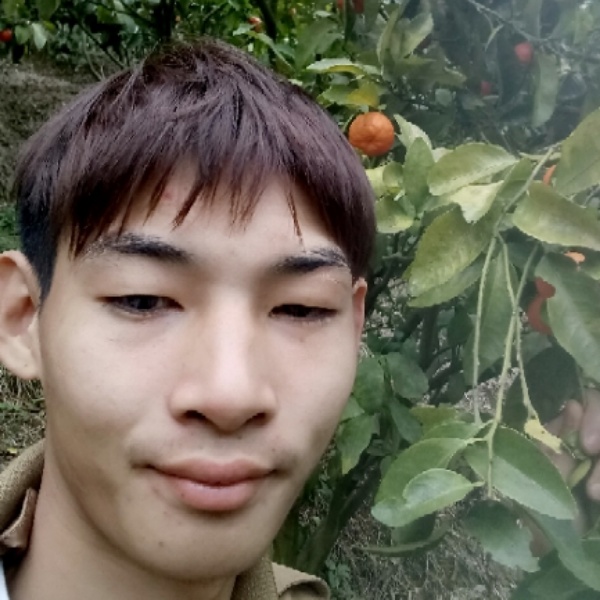 唐健华aa的照片