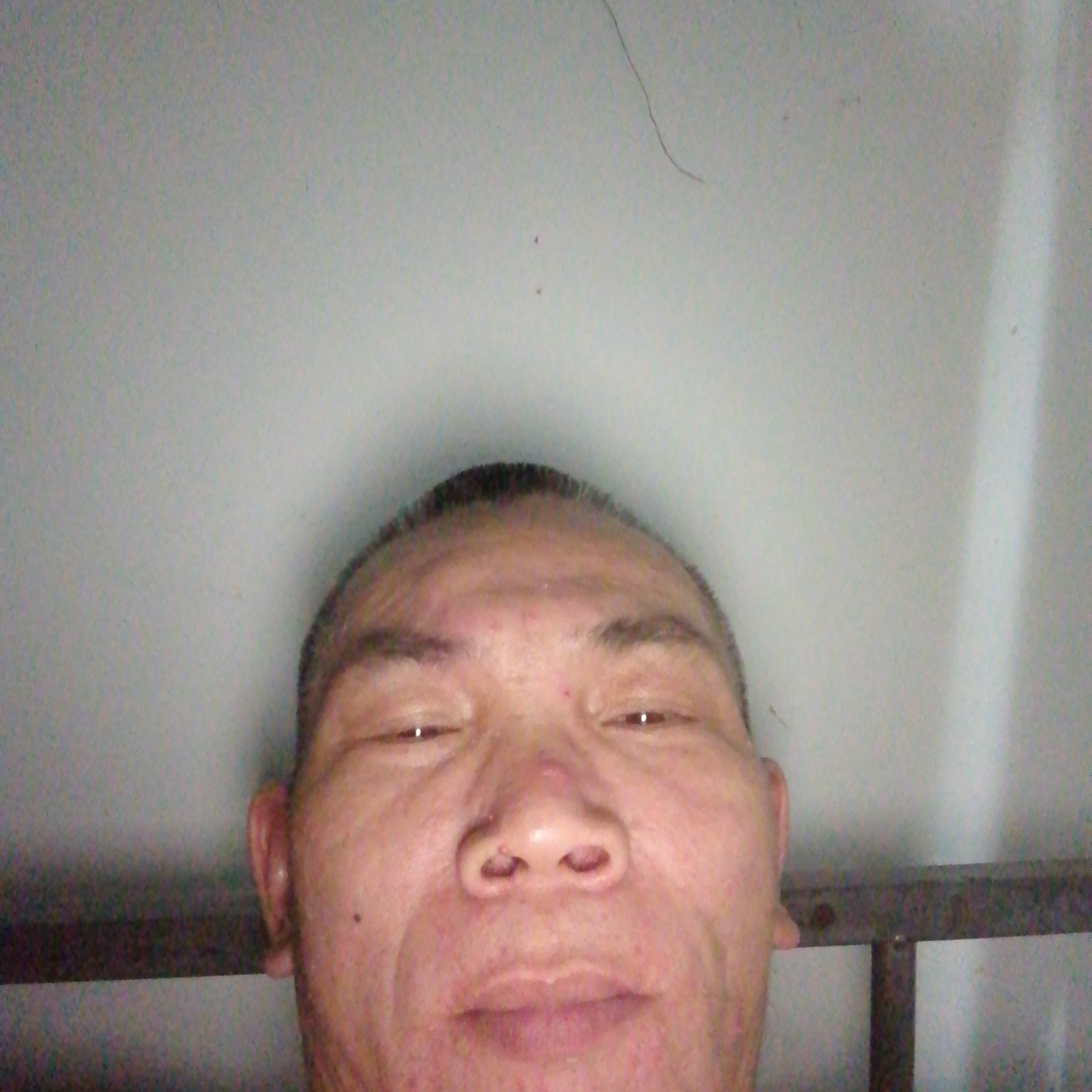 黄蜂放弃舒心的照片