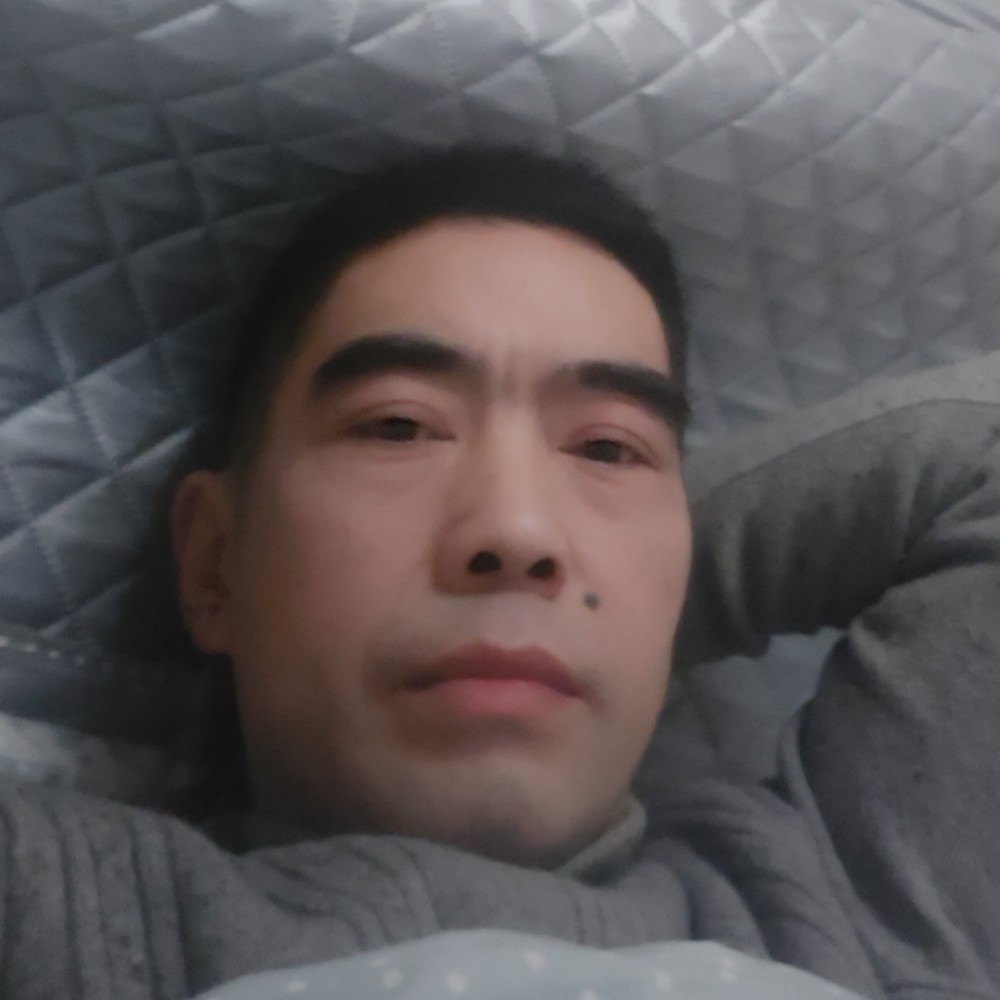 笨笨那眼神的照片
