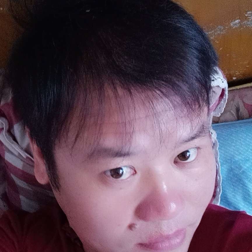 灰狼笑激动的照片