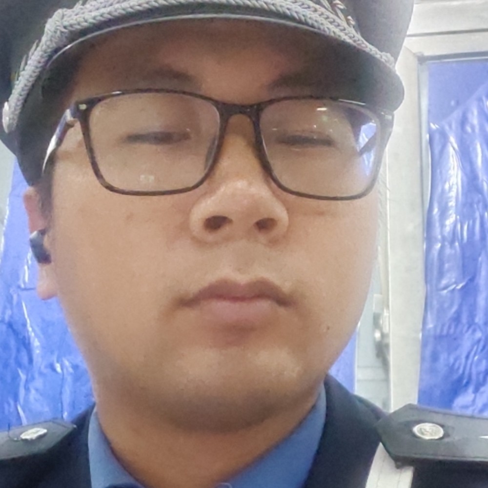 逐风迅速的照片