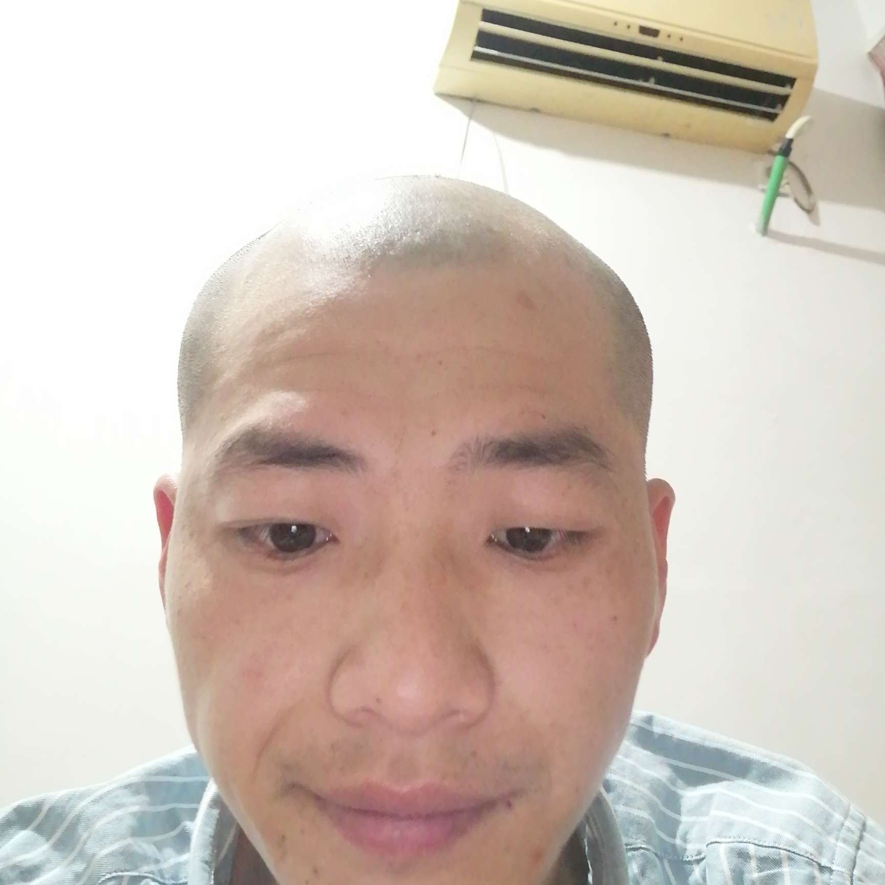 高大还白猫的照片