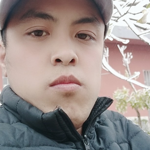 爱你的王的照片