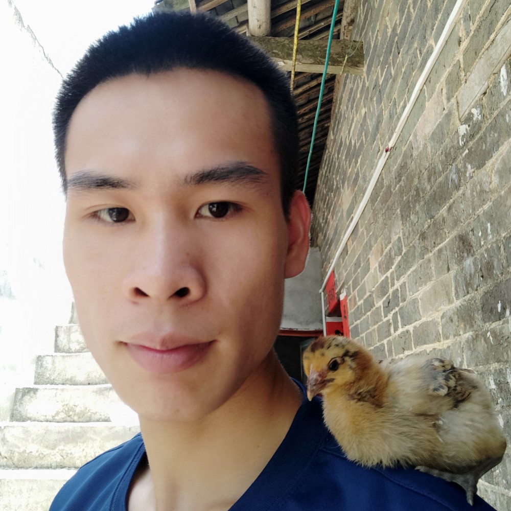 数据线清脆的照片