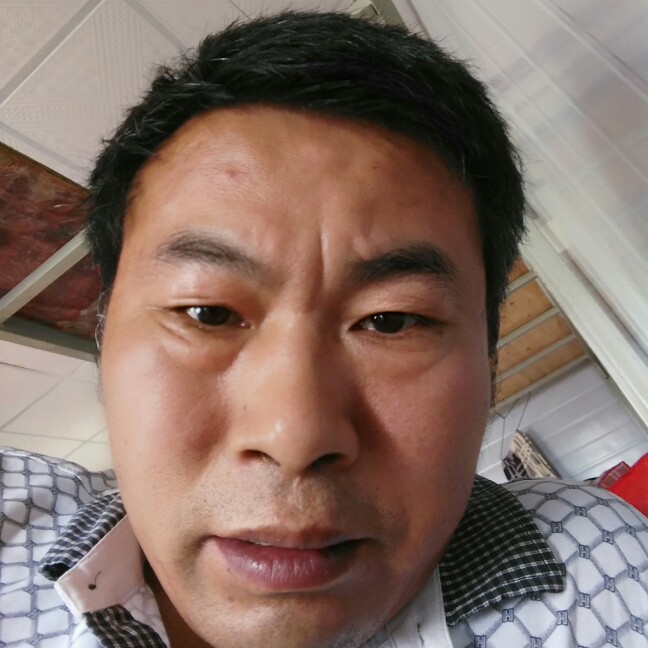 和平颂的照片