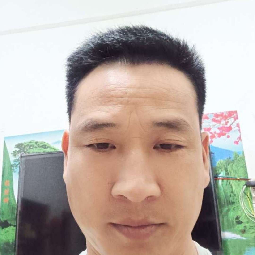 干净与树叶的照片