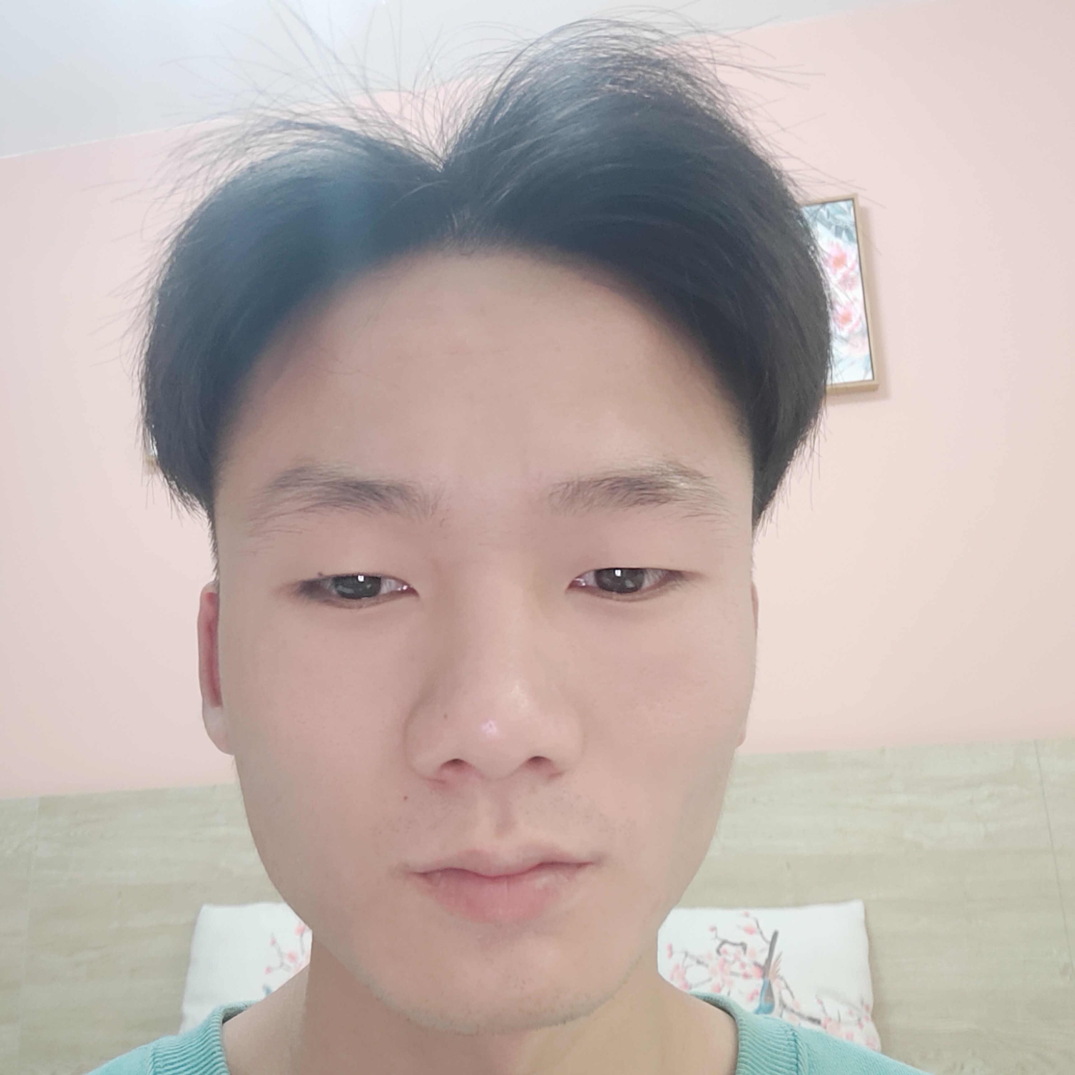 瘦瘦羊的照片