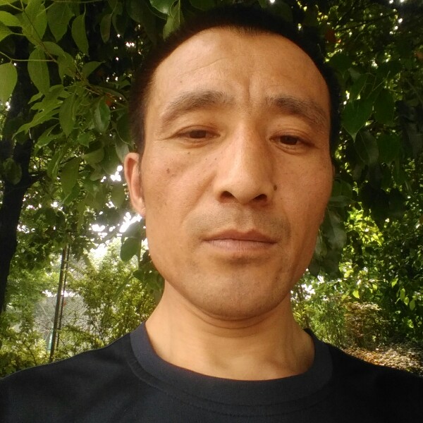 积极野狼的照片