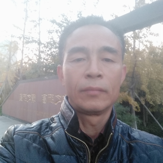 花痴鸭子的照片