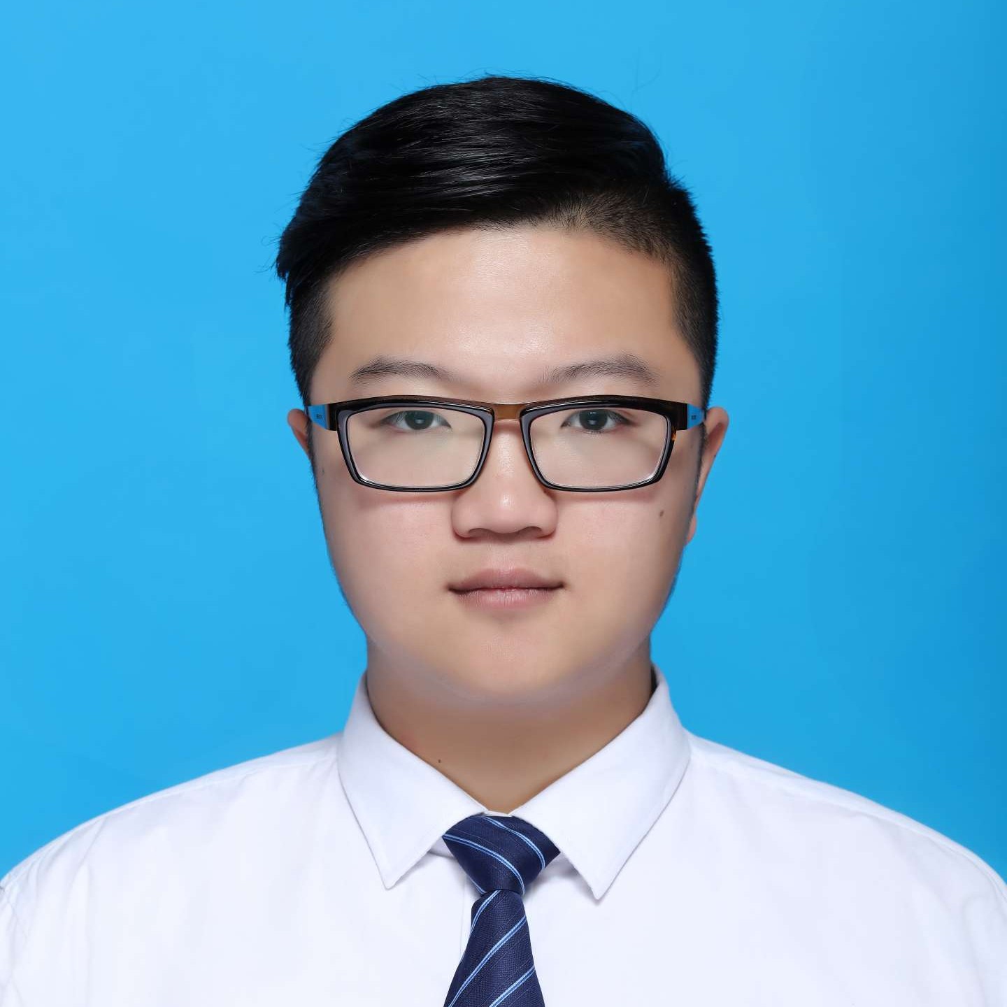 糟糕和长颈鹿的照片