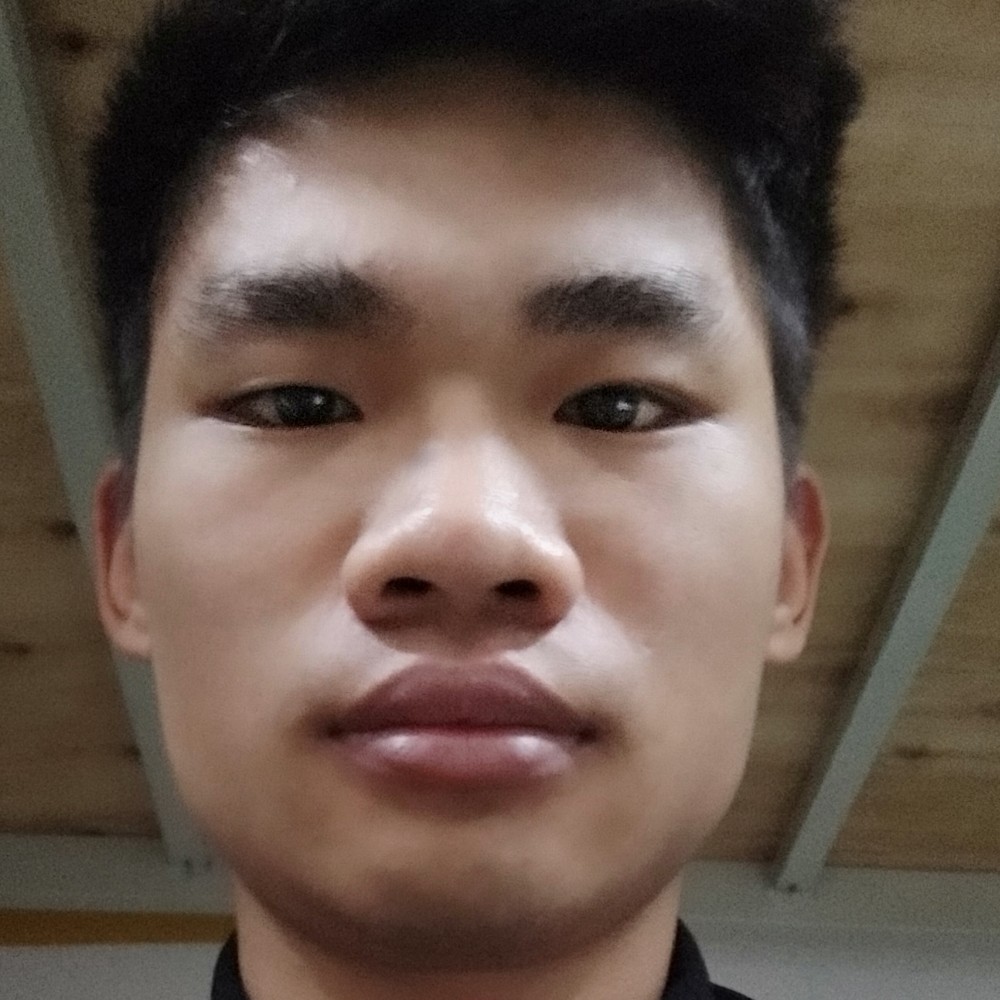 钻石演变高贵的照片