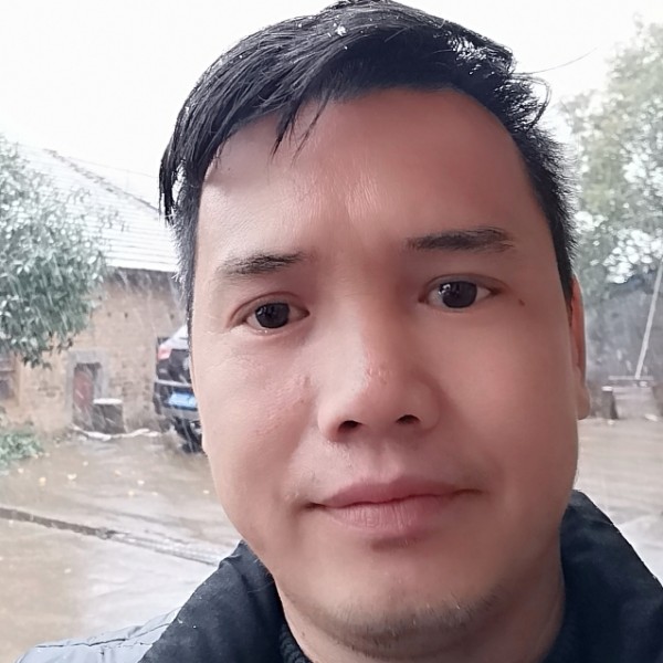 钢笔挽手美丽的照片