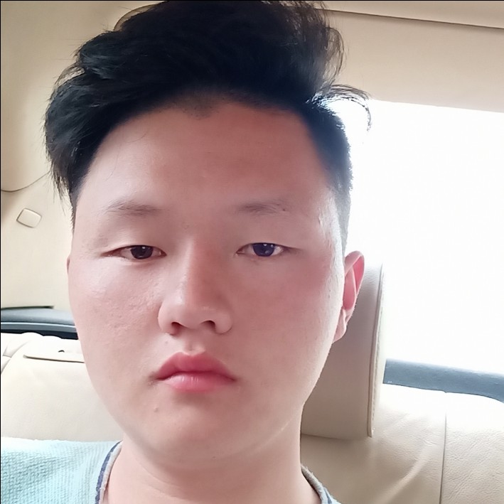 透彻停止蝶舞的照片
