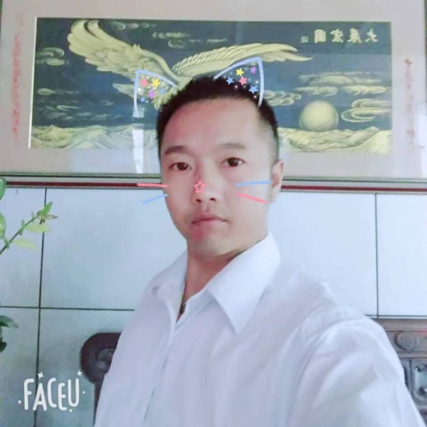 魔幻踢小兔子的照片