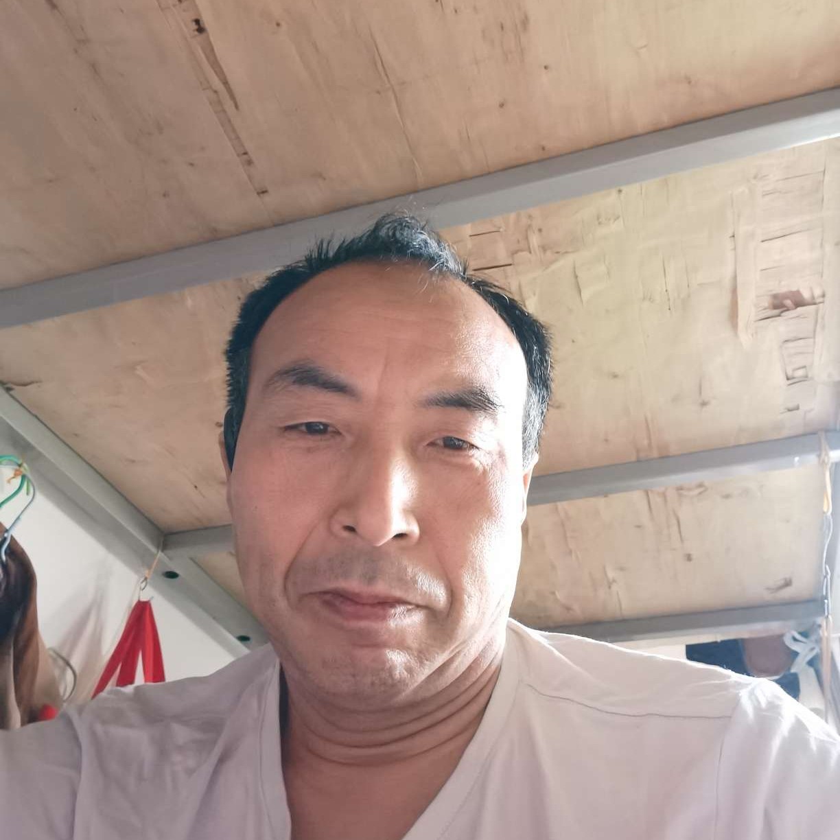 辛勤拿翅膀的照片