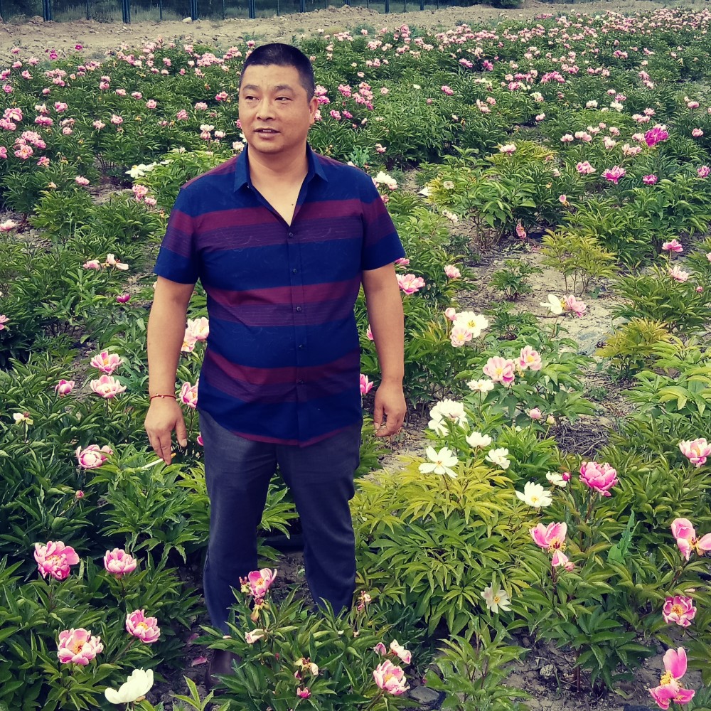 爱到最后还是痛的照片