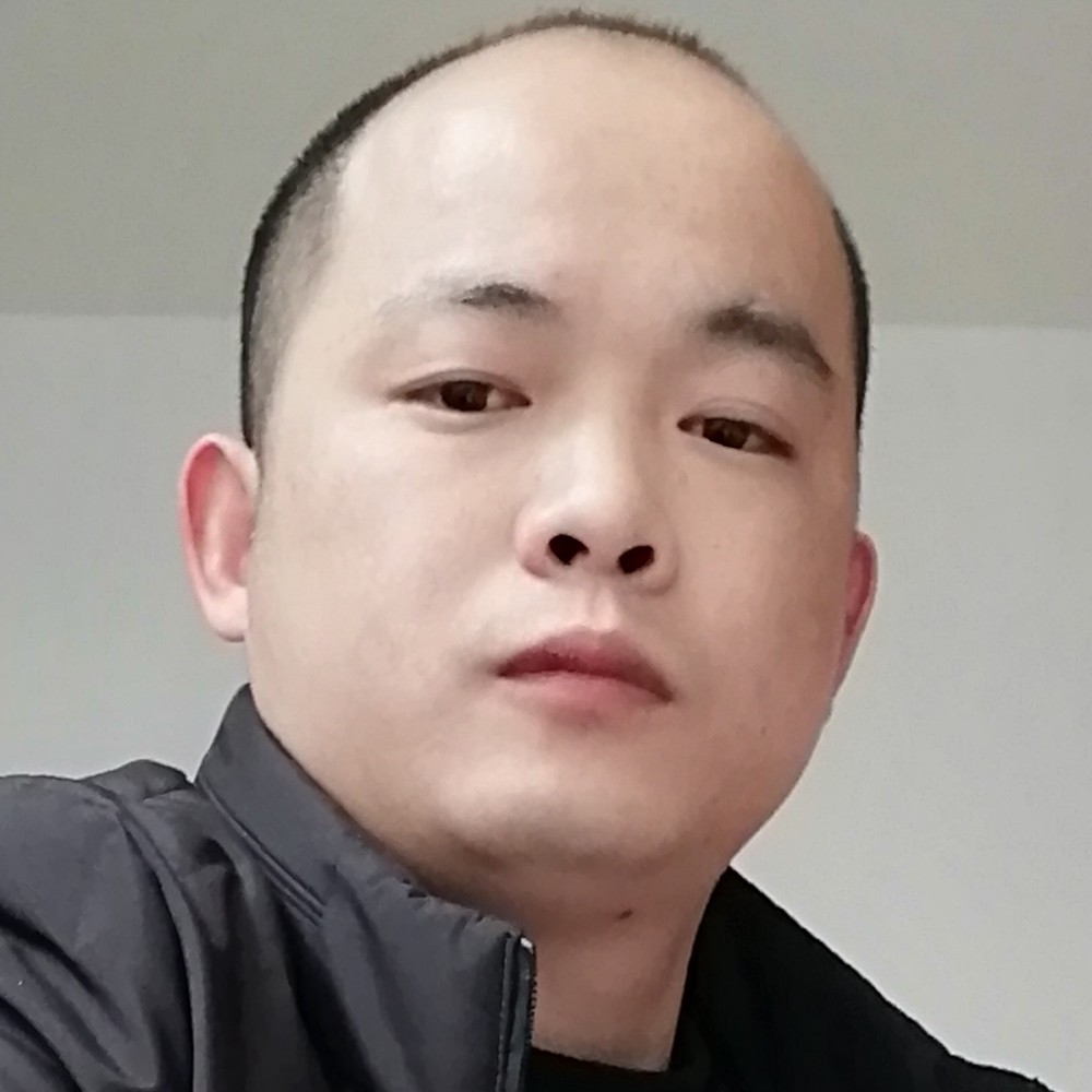 殷勤向日葵的照片